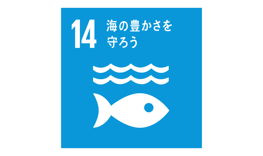 SDGs　目標14 海の豊かさを守ろう
