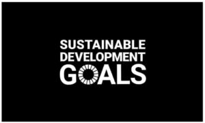 SDGs国連主体用ロゴ白
