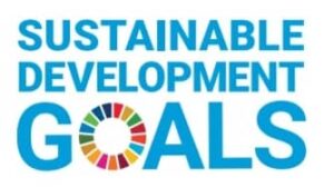 SDGs非国連主体用ロゴ
